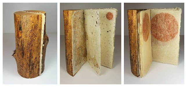 Slice of beetle-damaged trees shape like a book. 