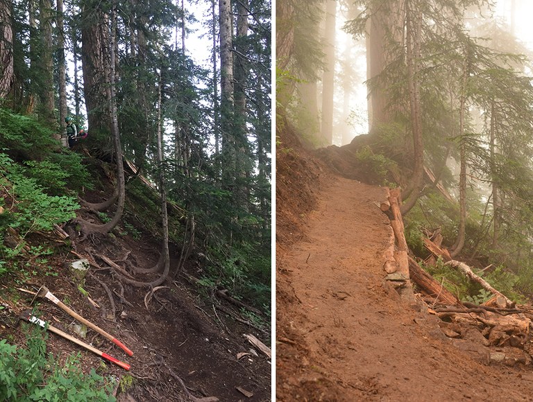 before_after_smaller.jpg