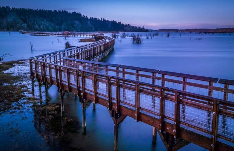 Billy Frank Jr. Nisqually Wildlife Refuge. Philip Wilkinson. A wooden boardwalk stretching out into calm water. Photo by Philip Wilkinson.