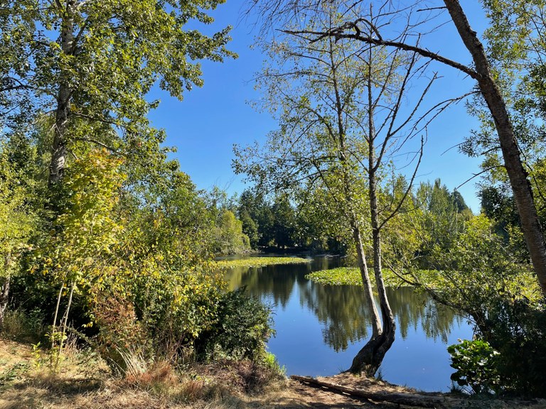 bleekler_arbor_lake_park.jpg