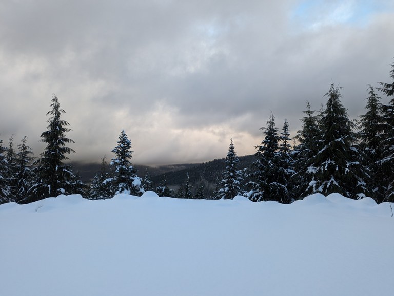 Boardman Lake. Photo by Haley KR. A heavy layer of snow near the Boardman Lake trail. Photo by Haley KR.