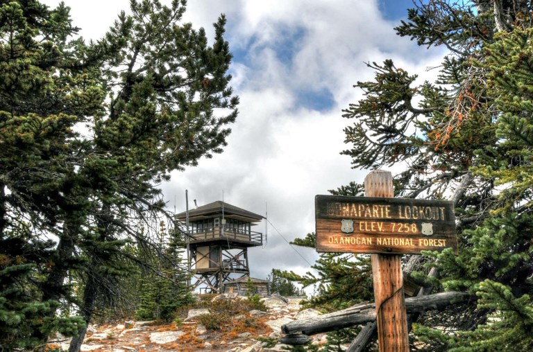 Bonaparte by spratt.jpeg