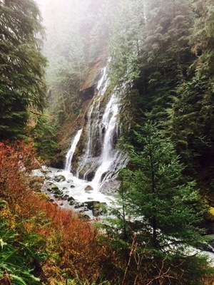  Photo by The Intuitive Prospector. 