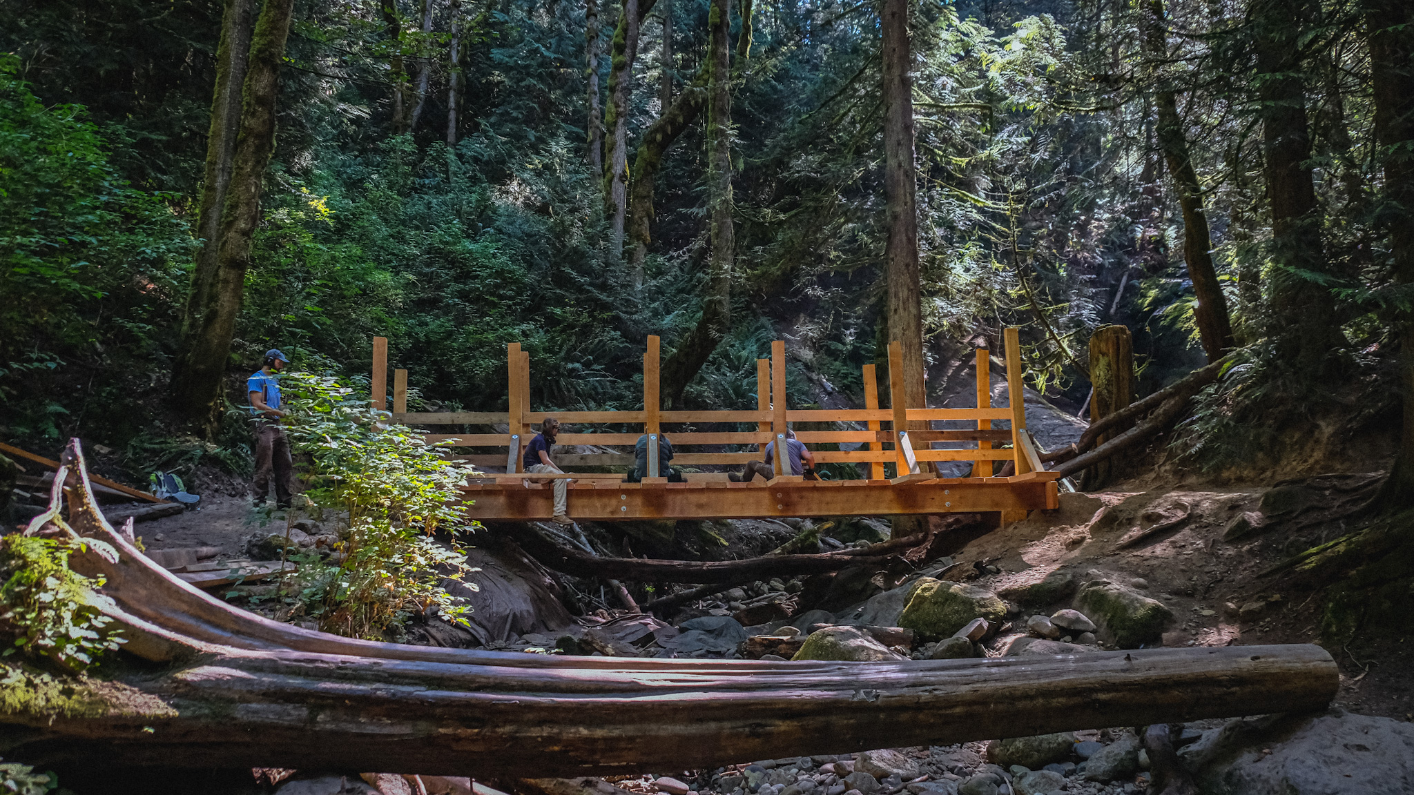 Bridge construction Workers install a bridge across a rocky bed in a forest
