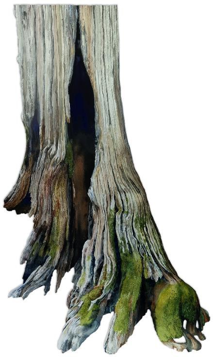A painting of a burned tree. 