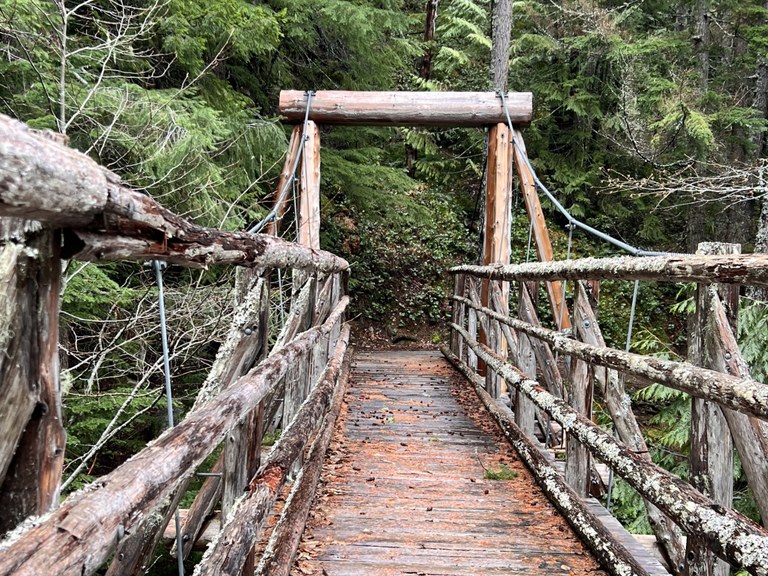 The Canyon Creek suspension bridge along the Suiattle River Trail/Pacific Crest Trail. Photo by trip reporter crystal907.