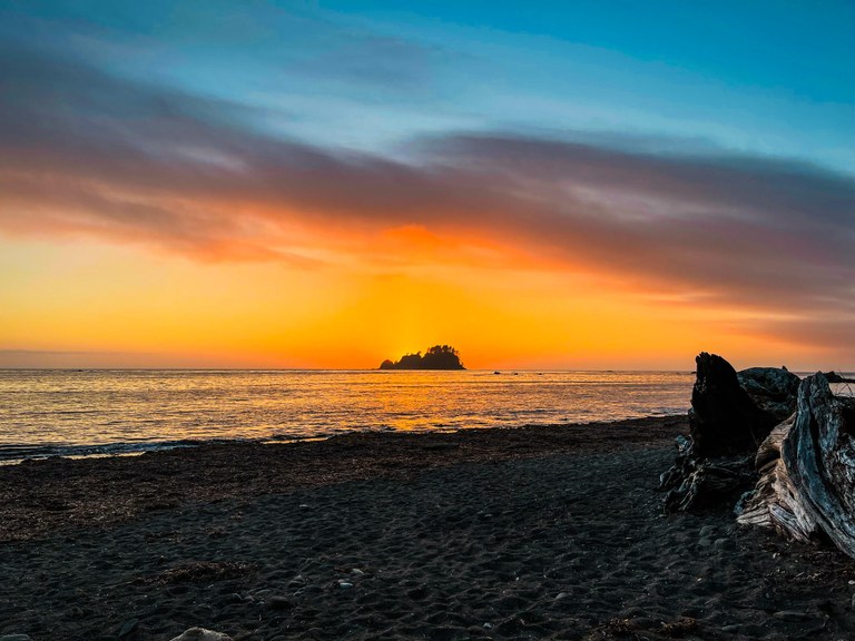 Sunset colors on the beach at Cape Alava. Photo by rutcat.