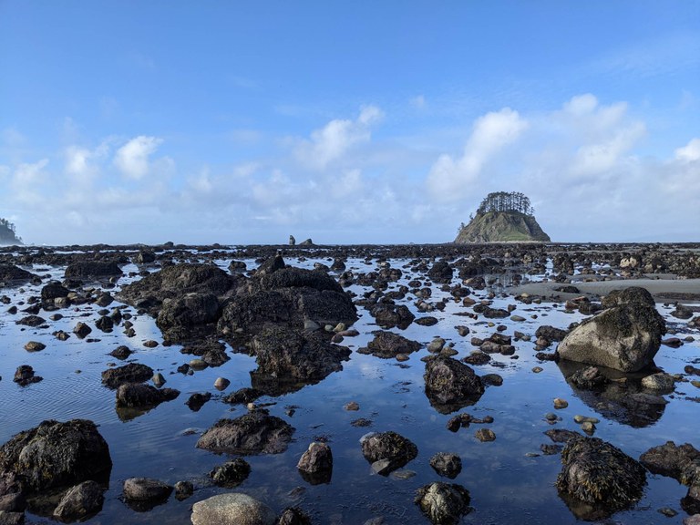 View of the ocean from Cape Alava. Photo by Tiffany Chou.