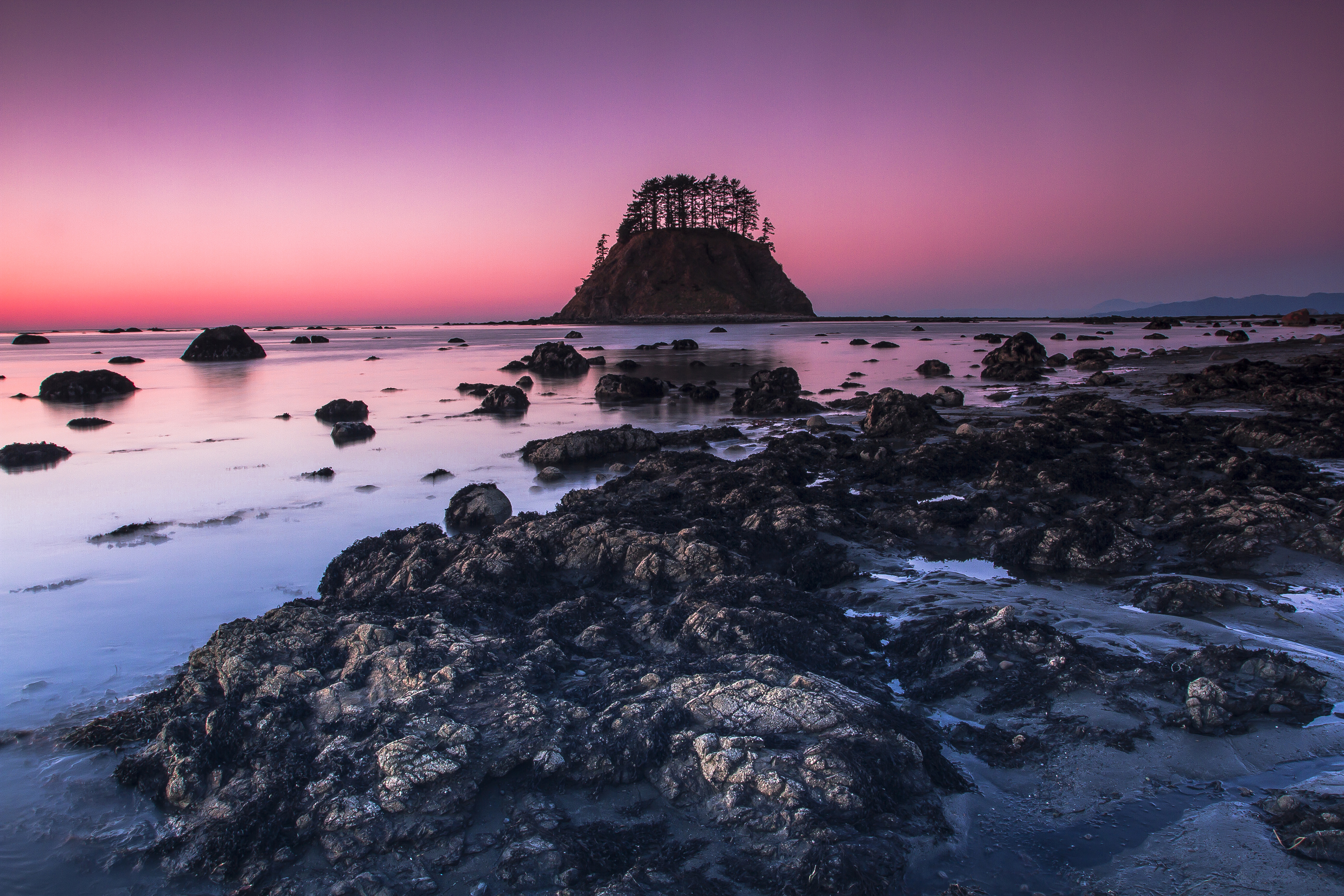 Cape Alava Photo by Xiao Wang..jpg