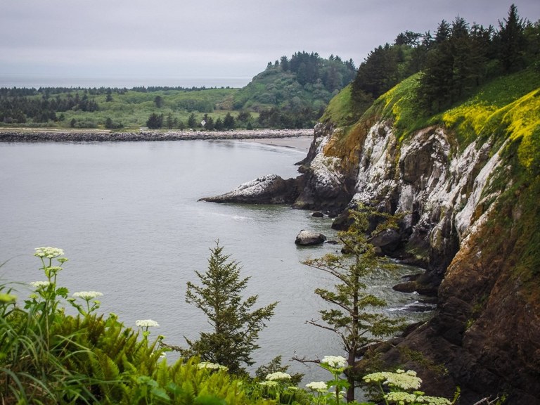View of wildflowers and greenery with cliffs and waves below.