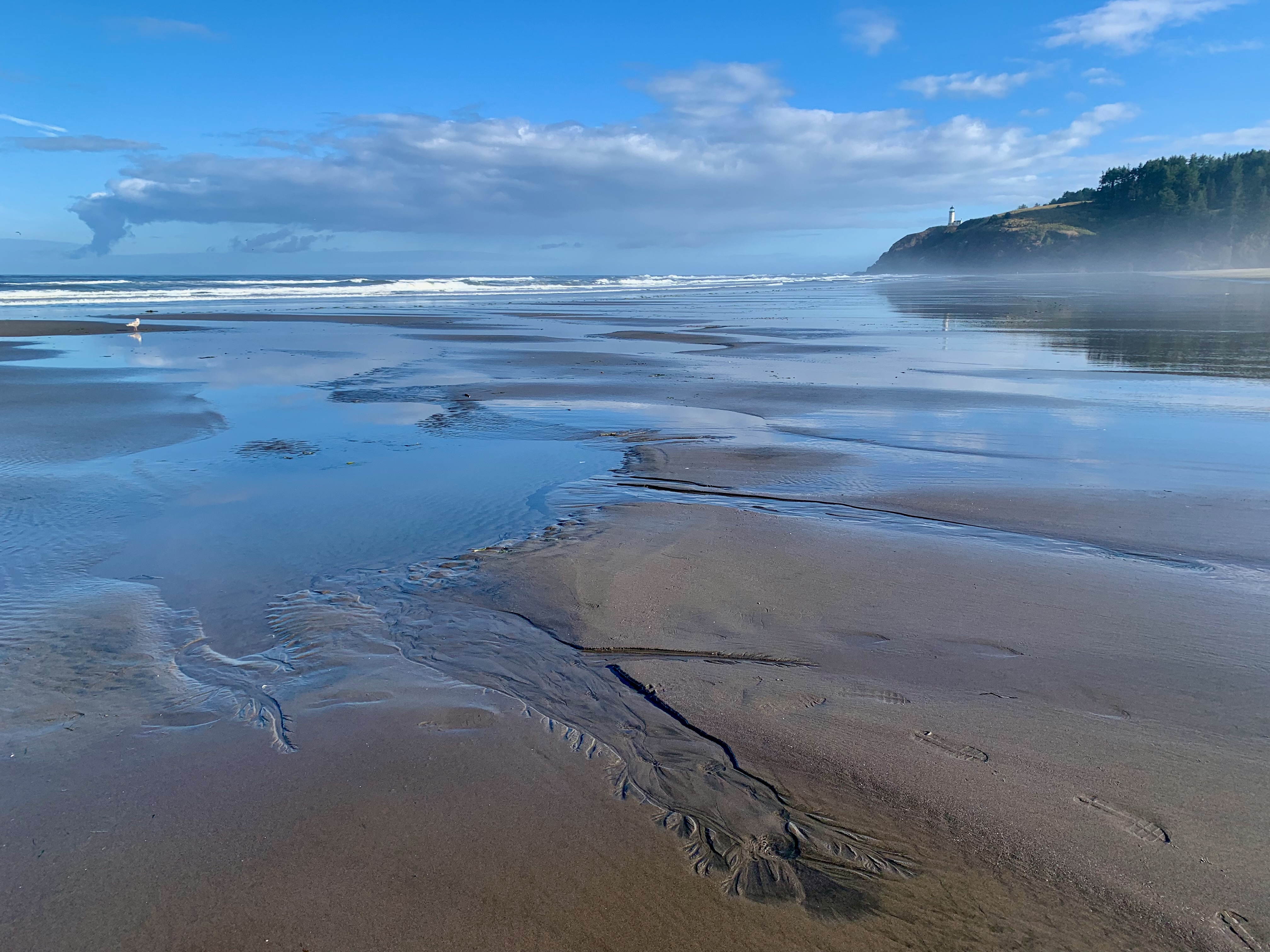 Sweeping view of a bay with the tide out, leaving a mixture of water and sand