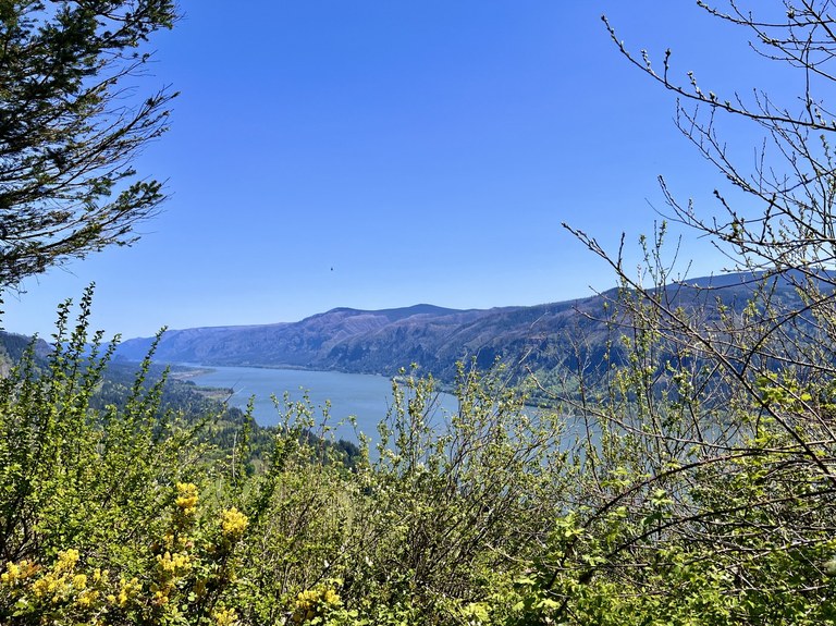 cape horn_becky andrande.jpeg