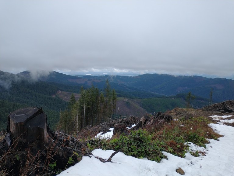 Viewpoint from Capitol Peak trail in the Capitol State Forest. Photo by Onward&Upward.