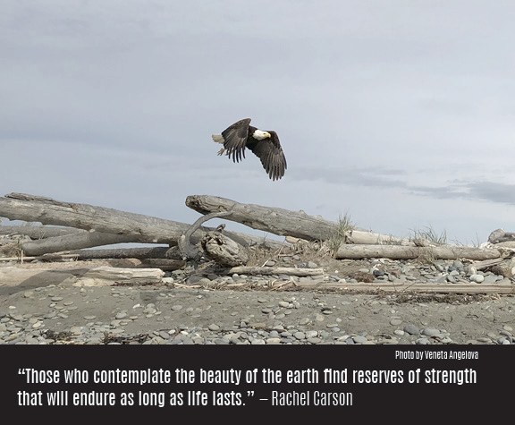 carson.jpg carson.jpg