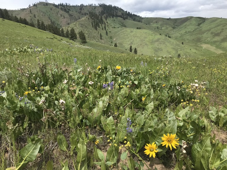Cashmere Canyons Preserve by clandry Cashmere Canyons Preserve by clandry