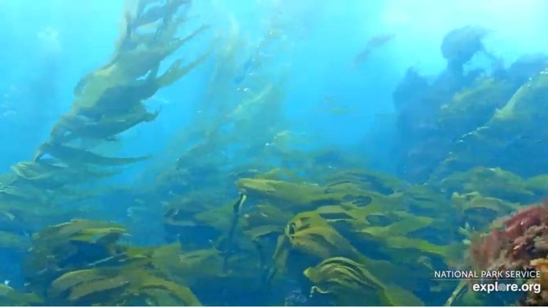 Channel Islands National Park Service webcam