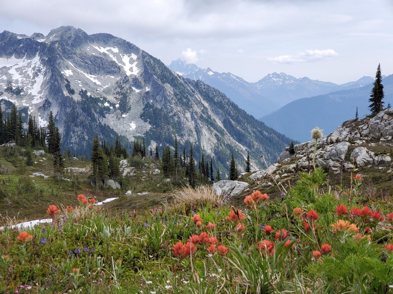 Chatter Creek, Icicle Ridge by D. Baxter. Chatter Creek, Icicle Ridge.jpeg