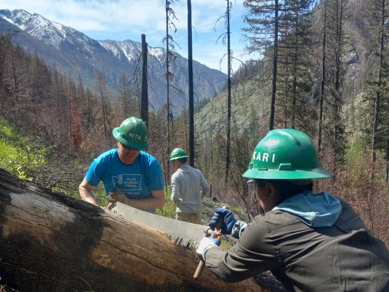 Two volunteers use a crosscut saw on a fallen log on a 2025 work party one the Chelan Lakeshore Trail. Photo by Melissa Davis.