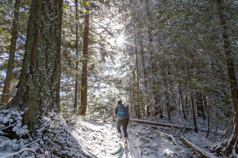 Chuckanut Ridge Trail in Larabee State Park. Photo by Josh Scholten. Chuckanut Ridge Trail in Larrabee State Park.jpg