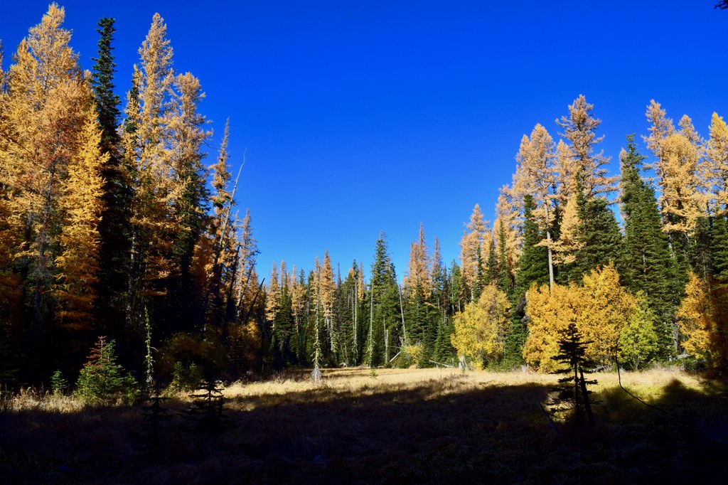 Clara and Marion Lakes Photo by Terry.jpeg