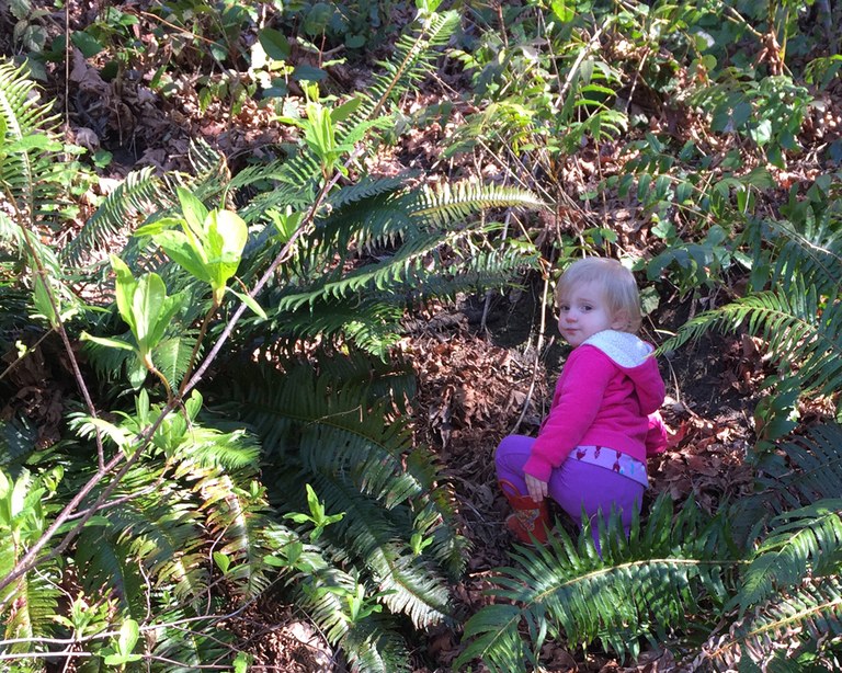 Climbing a Hillside Krista Dooley