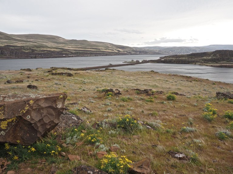 View of the Columbia River Gorge from Columbia Hills State Park. Photo by Bob and Barb.