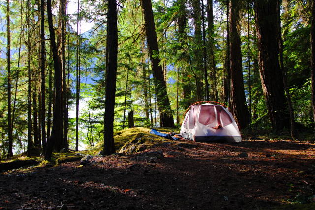 McMillan Camp on the East Bank Ross Lake Trail McMillan Camp on the East Bank Ross Lake Trail