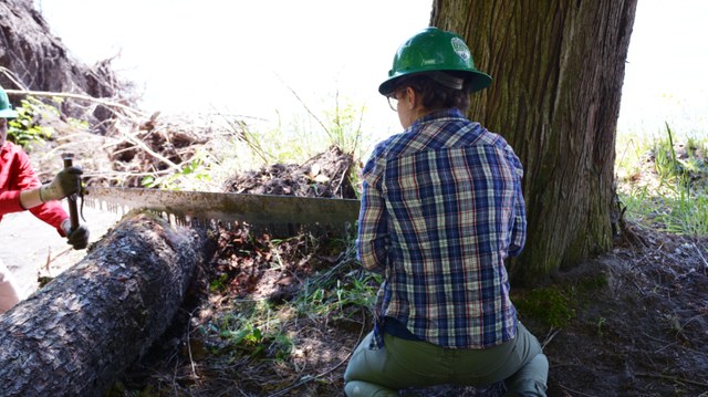 copy_of_DSC_1795.JPG copy_of_DSC_1795.JPG