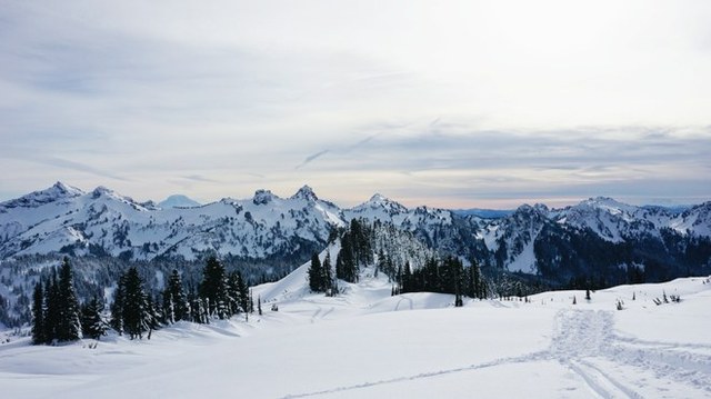 Glacier Vista Snowshoe. Photo by Selkie.