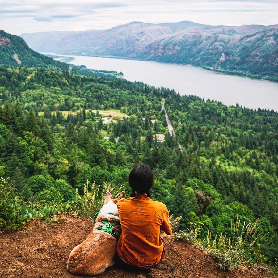 Corgi and a view by Patty Tang