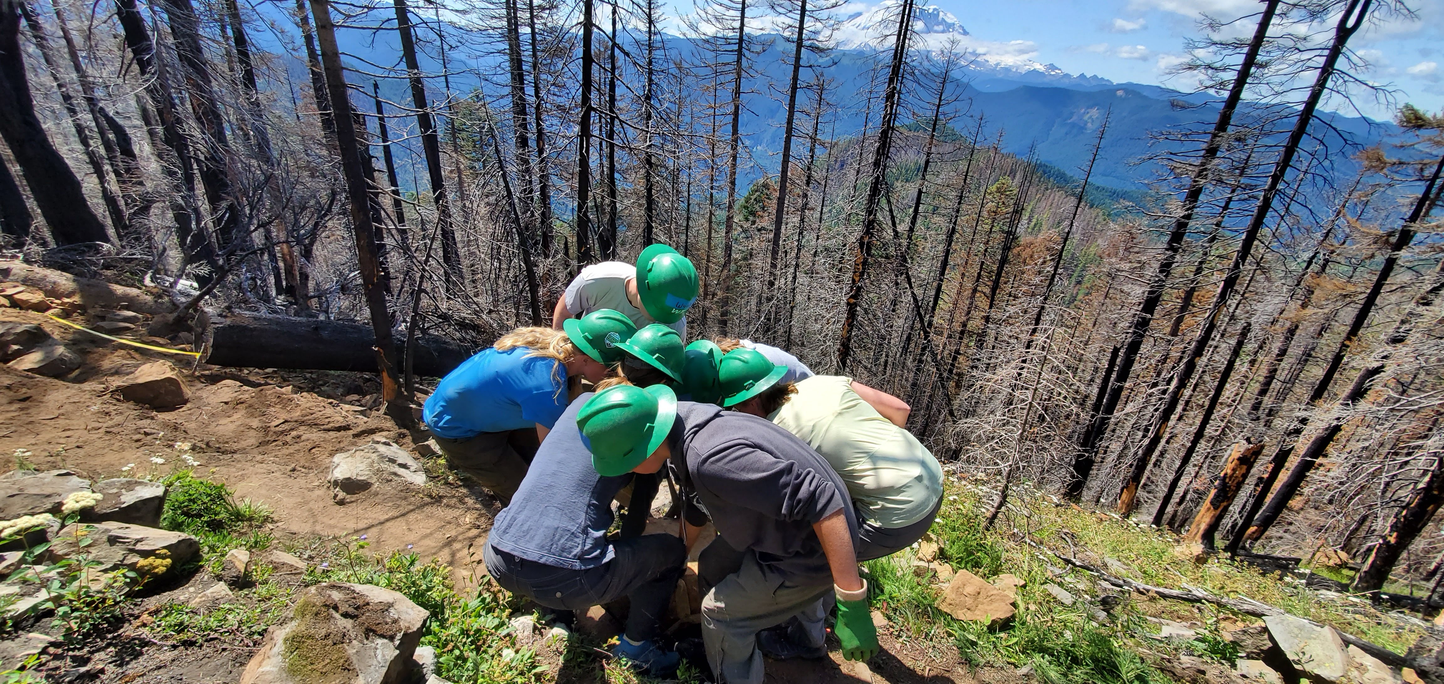 Group of volunteers leans in together to pick something up, as they stand on a ridge overlooking Mount Rainier