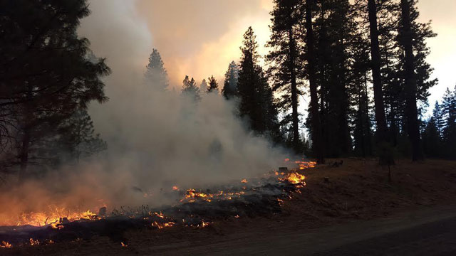 Dry conditions mean fires are still active across Washington. Photo of firefighters on a firefighters on the Cougar Creek fire on Aug. 19, courtesy inciweb. 