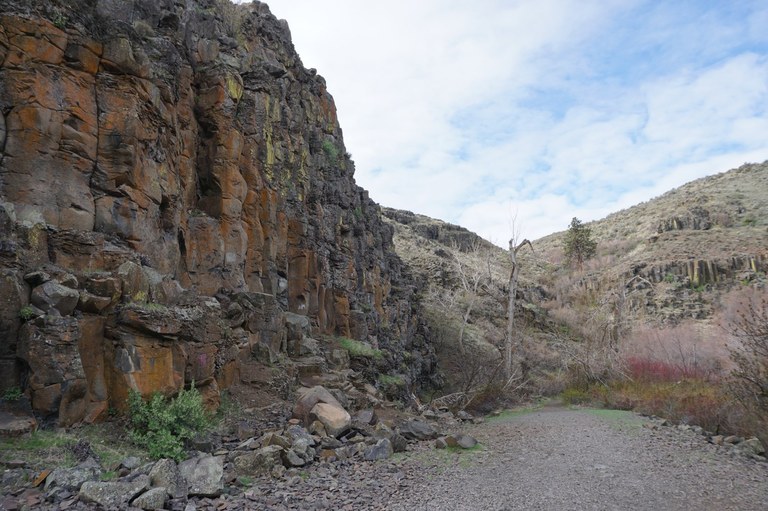 Cowiche Canyon Preserve Trail with some blue skies. Photo by TralRnnr.