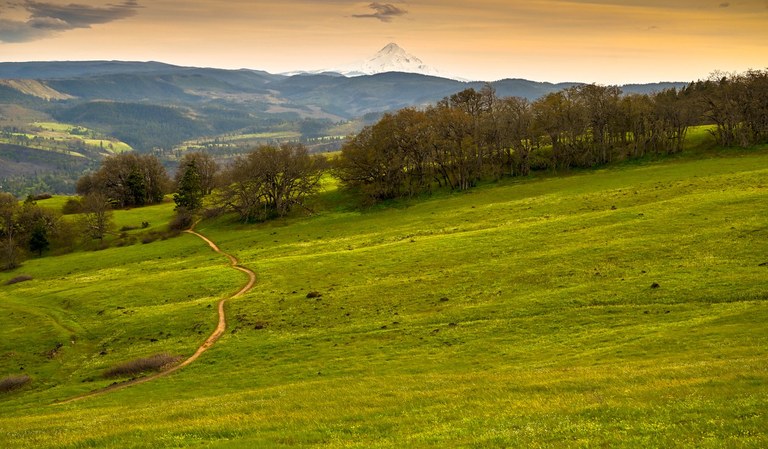 A trail sweeps through a meadow with Mount Hood in the background.