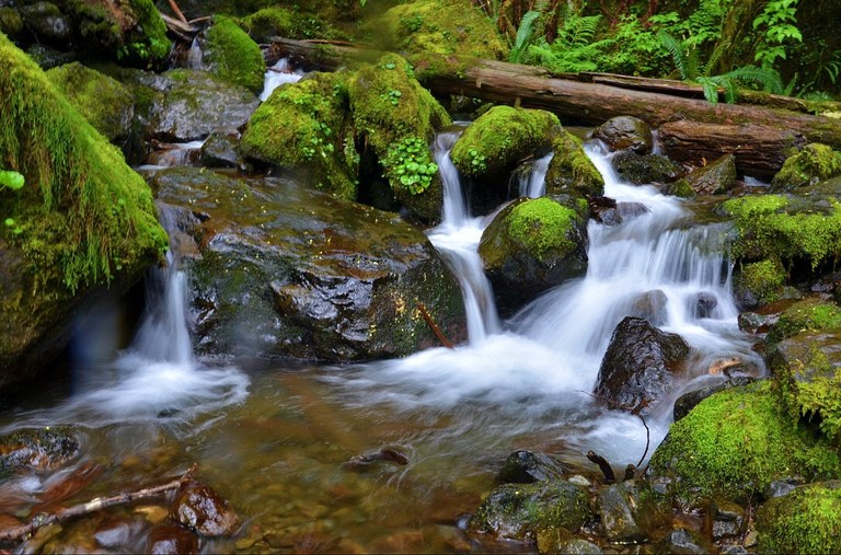 Creek. Photo - Dana Wilkins.jpg