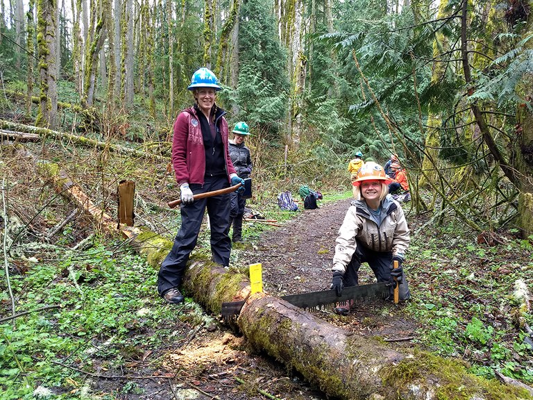 crosscutting-on-cougar_emily-snyder.jpg