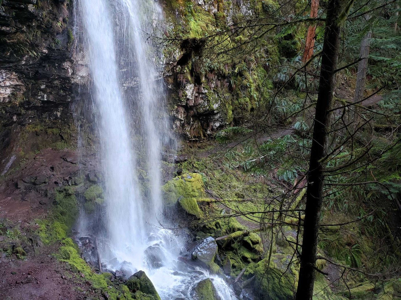 The falls in spring. Photo by Anna Roth