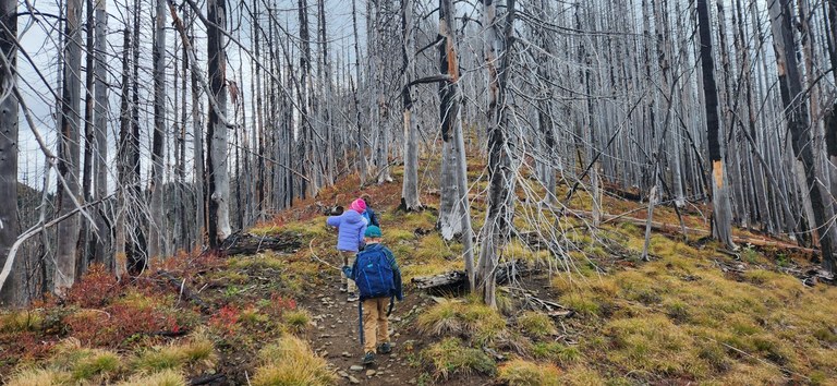 Young family hikes up hill through a wildfire scarred trail.