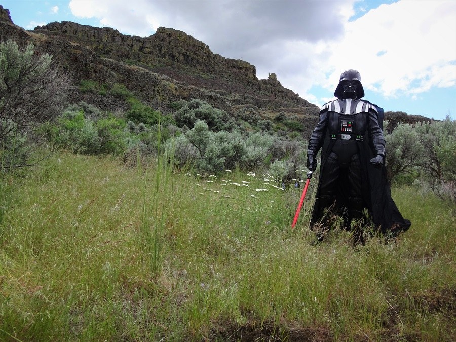 darth.jpeg darth.jpeg