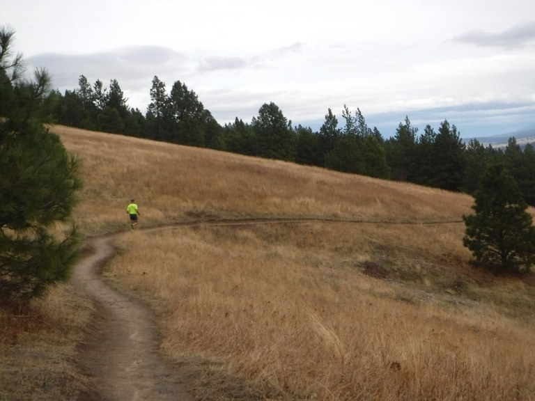 A jogger runs along the trail at Dishman Hills