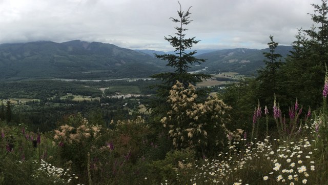 Image courtesy of DNR.