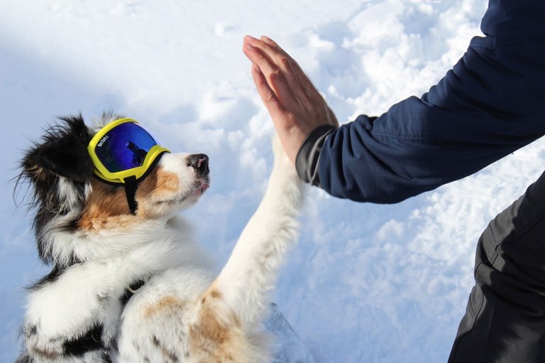Hiker High Fives Pup