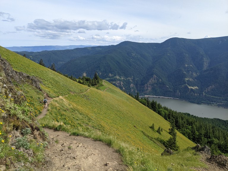 Wildflowers and vista views with a hiker on the trail at Dog Mountain. Photo by proxie. 