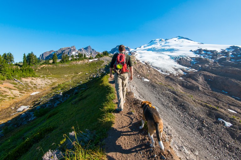 dog railroad grade Jason Heritage.jpg