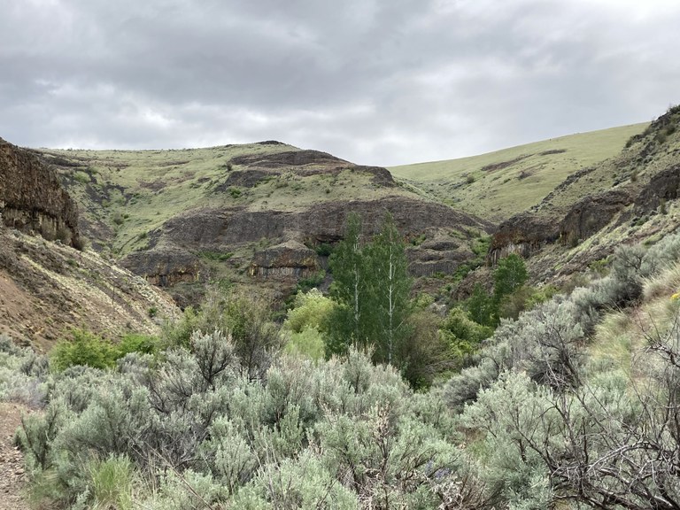 Douglas Creek Canyon - North by jordan9 Douglas Creek Canyon - North by jordan9