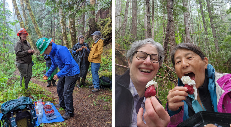 Dry Creek BCRT. Photo by Dawn Rorvik. Crew members on a backcountry response team on the Dry Creek trail distributing and eating strawberries with whipped cream. Photo by Dawn Rorvik.