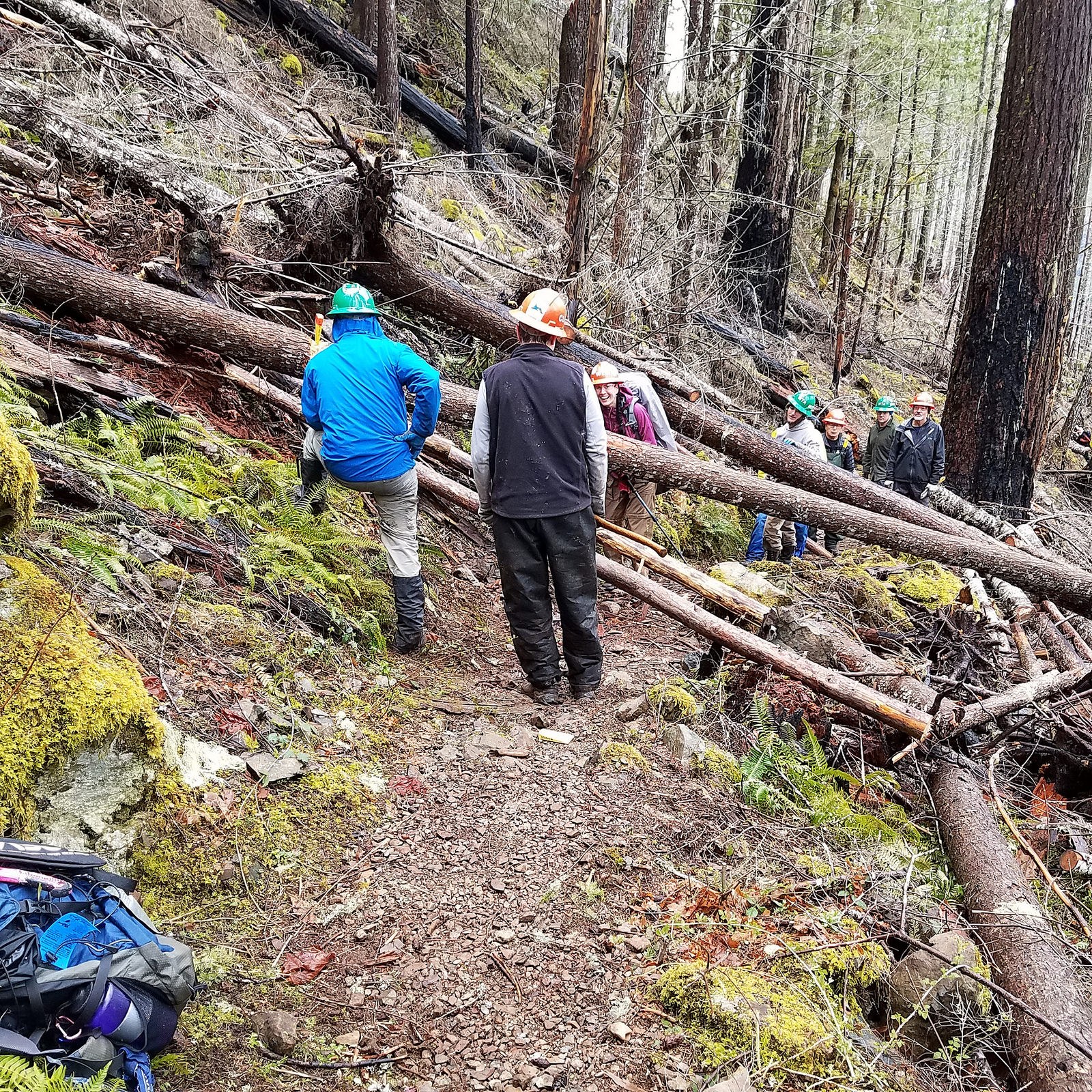 duckabush bcrt.jpeg duckabush bcrt.jpeg