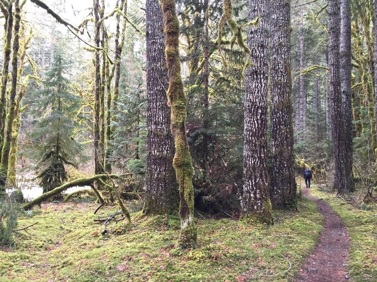 duckabush hiker_krista.jpeg