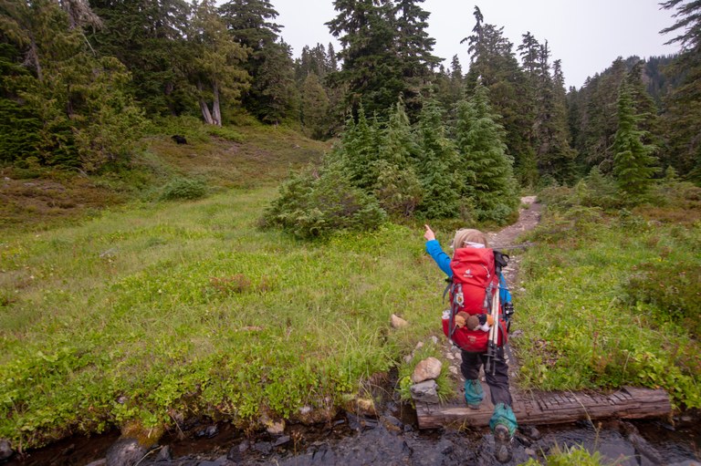 E spots a bear.jpg
