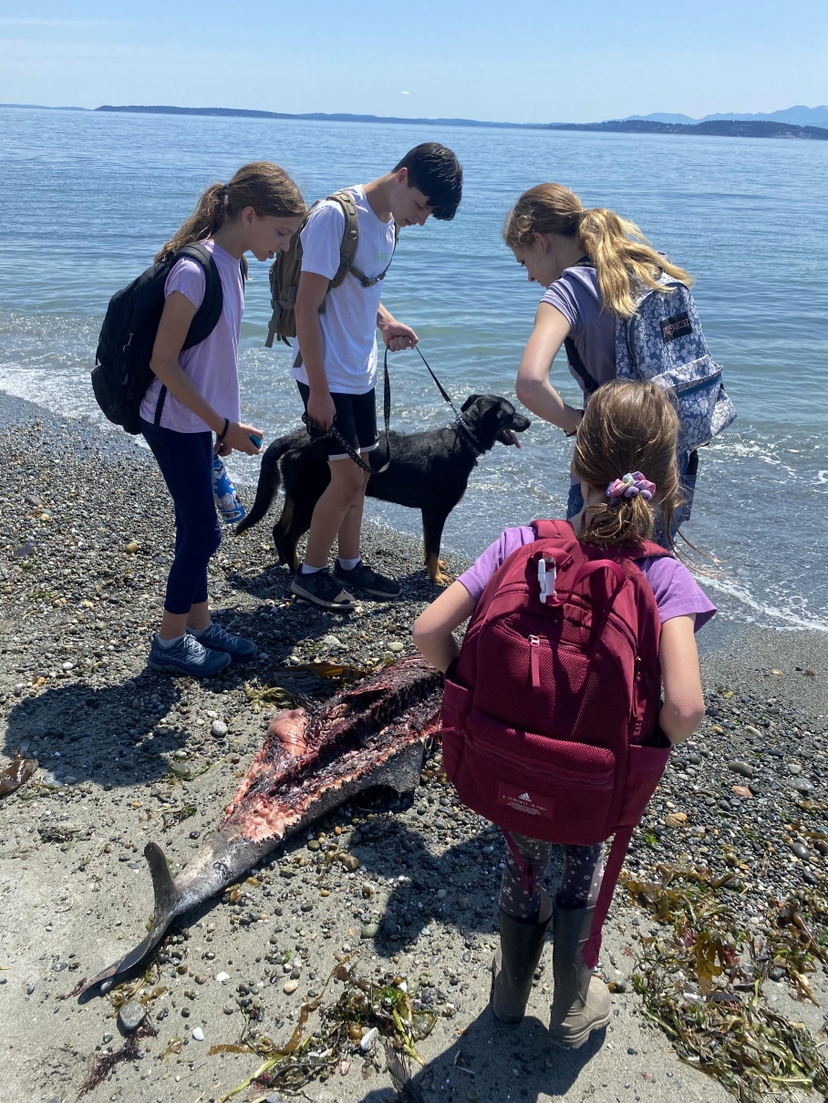 Four children and a leashed dog look at a washed up fish carcass on the beach at Ebey's Landing. Photo by GoMamaCook.